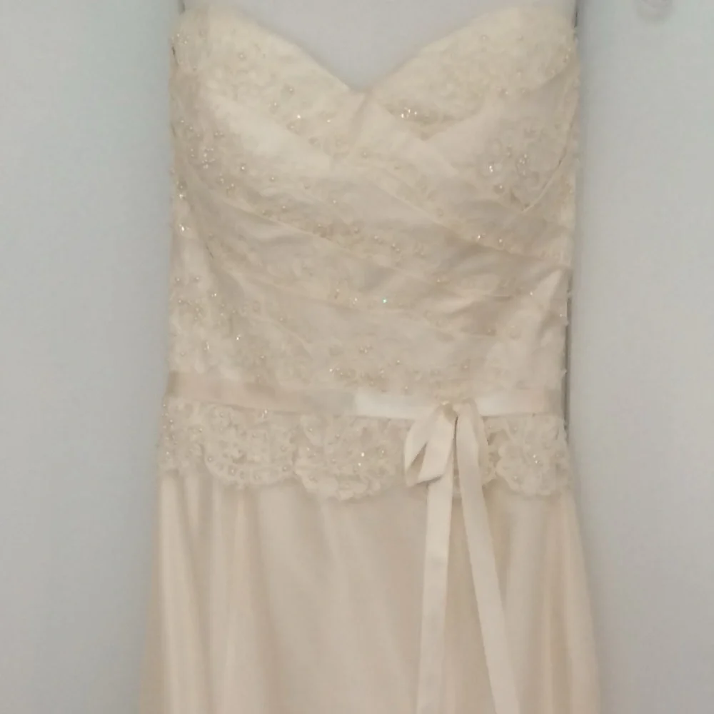 NEW/ NEVER WORN: Paloma Blanca Wedding Dress: style #CA05313 - Picture 1 of 15